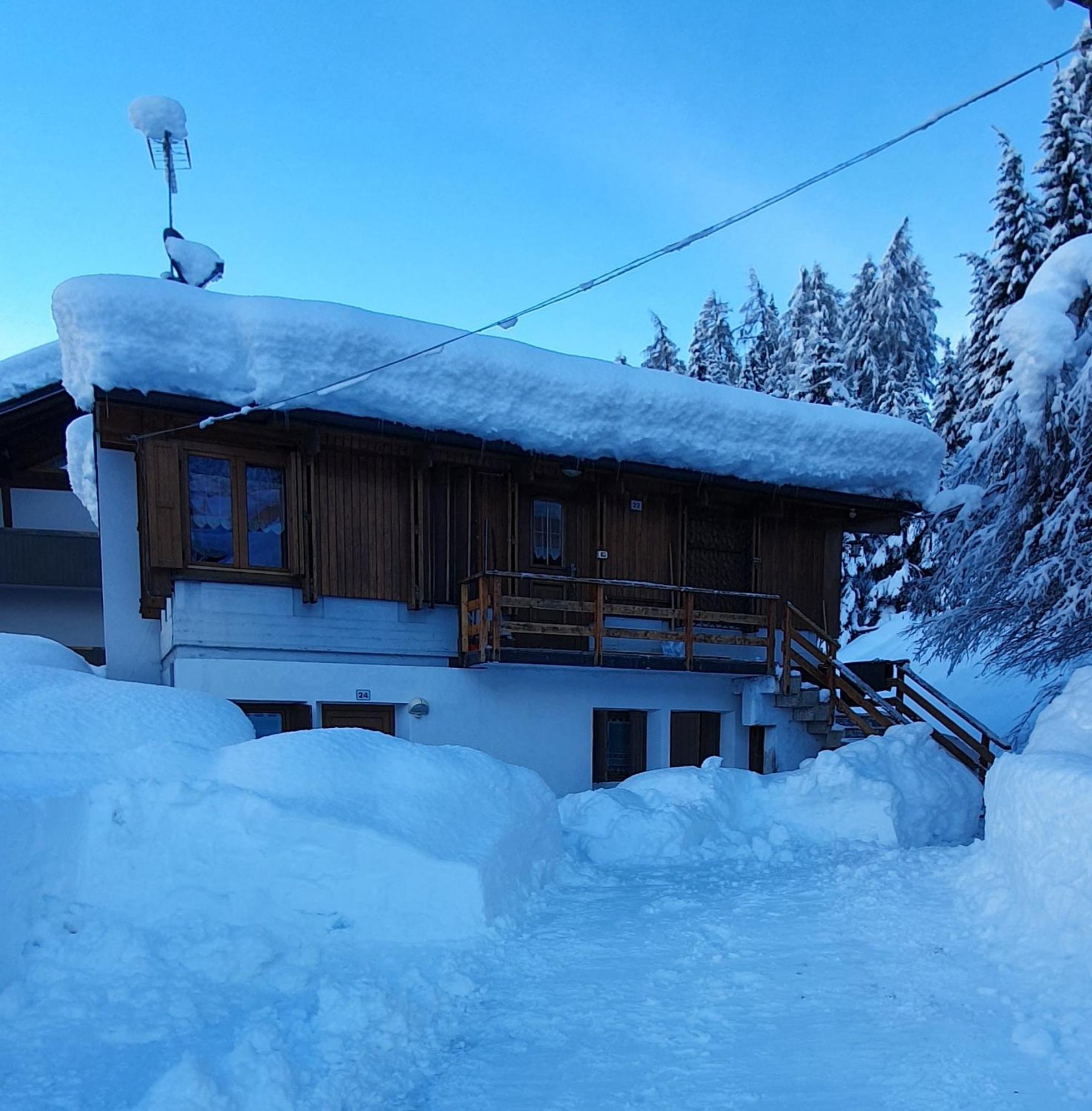 Villa Gaia Folgarida Eksteriør billede